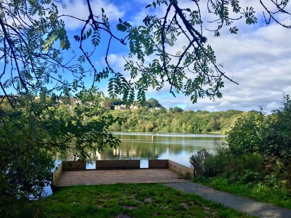 Photo of a calm lake surrounded by trees and natural landscape