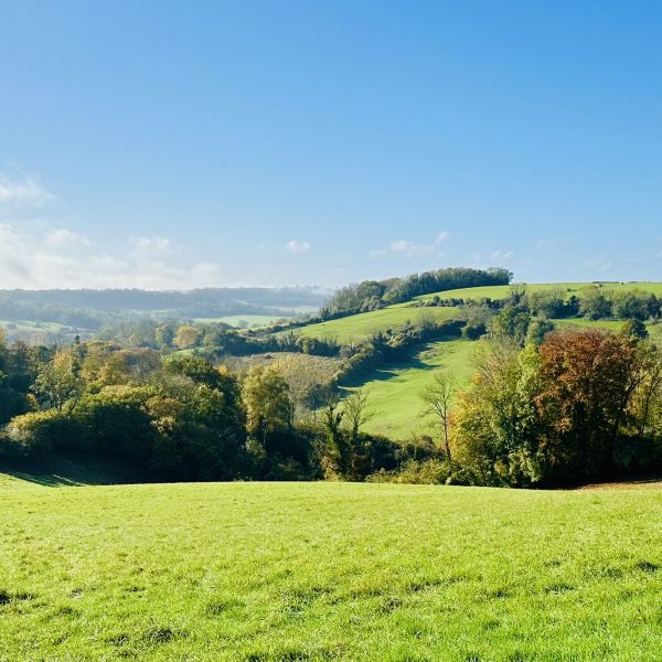 Cotswolds view