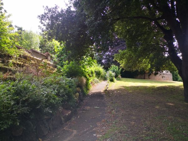 a photo of a scenic outdoor path