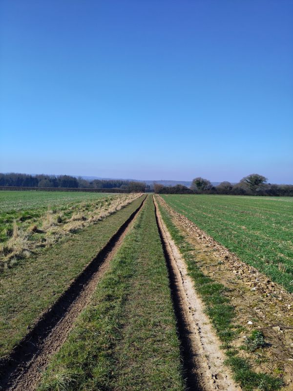 South Downs Trackway