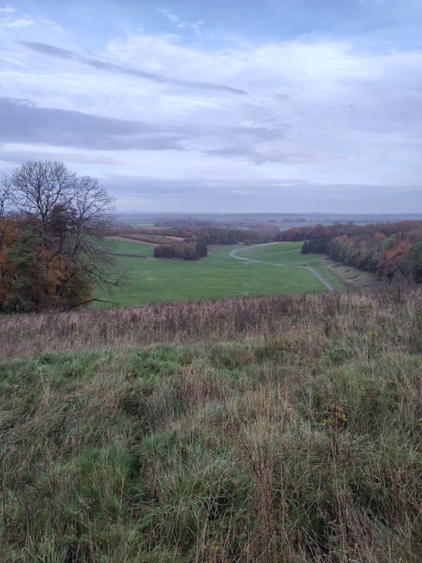 View from Cheesefoot Head