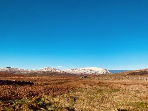 Near Staveley Head Fell