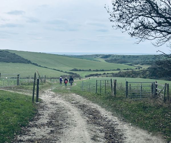 Walkers on wet path