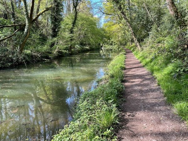 Sunny towpath on Basingstoke Canal