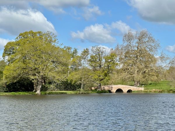 Picture of a sunny Tundry Pond with trees on far side