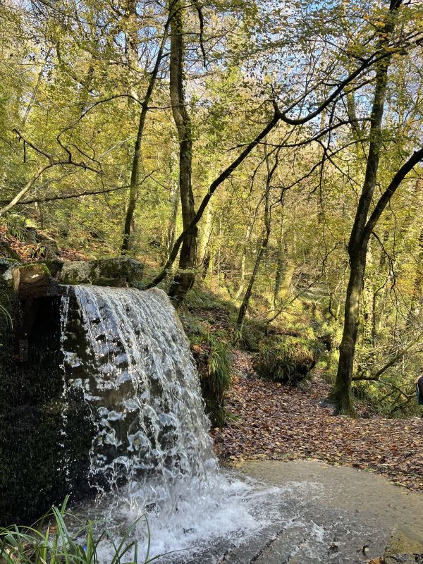 Leat in Kennall Vale