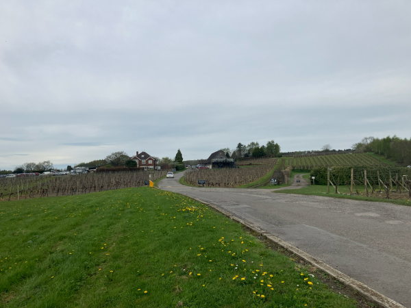Halfpenny Green Vineyard 