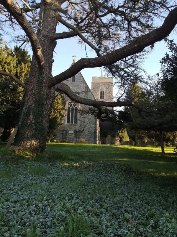 Sacombe church through trees