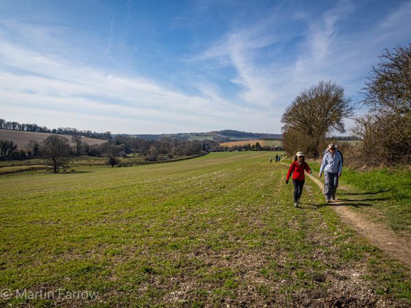ramblers walking in field in winter sunshine