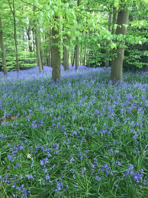 Saturday afternoon walk