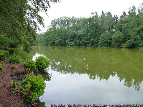 The Seggy Pool, copyright Richard Law, used under Creative Commons licence v2.0.