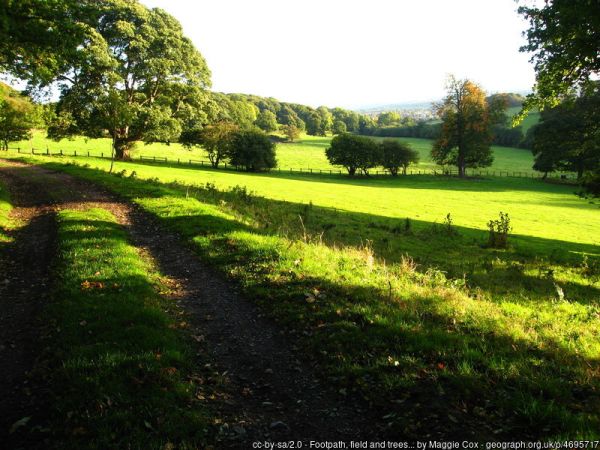 The green track from Gwysaney Hall to Sychdyn, FlintshireS