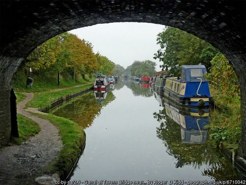 Canal at Tavern Bridge near Wheaton Aston, copyright Roger D Kidd, used under Creative Commons licence v2.0.