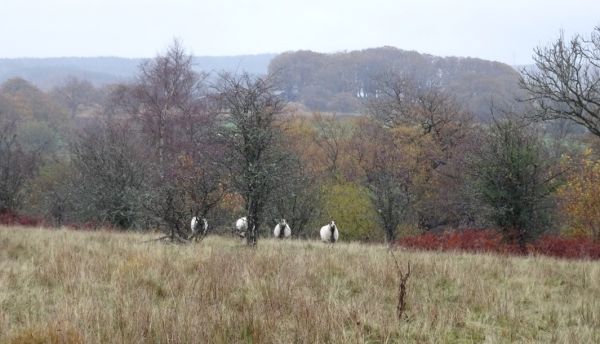 Hirwaun Highways, Byways and Tramways