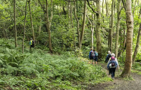 Walkers in Lumbo Den