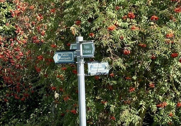 Signpost
