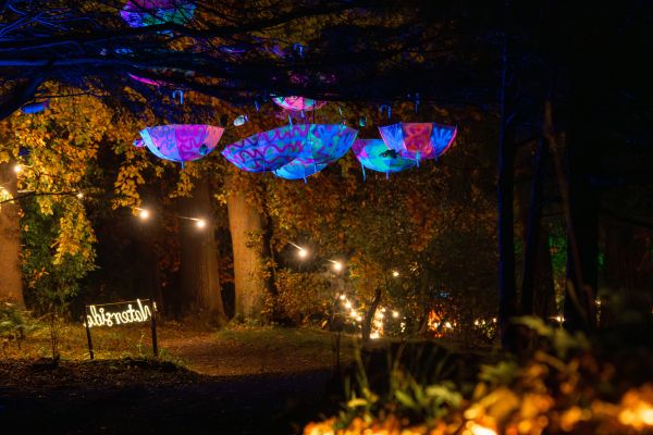 Photo 1 of the garden provided by the Swinton Estate 