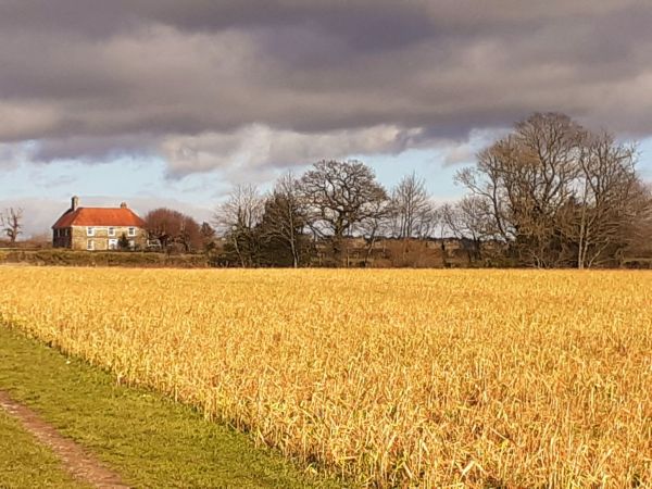 Lodge Farm in winter