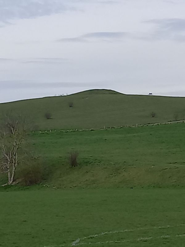 Therfield Heath One Hill Barrow