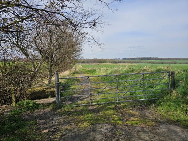 Heading into countryside from Coaltown of Wemyss