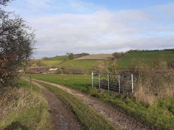 Track approaching Gallowgate Farm