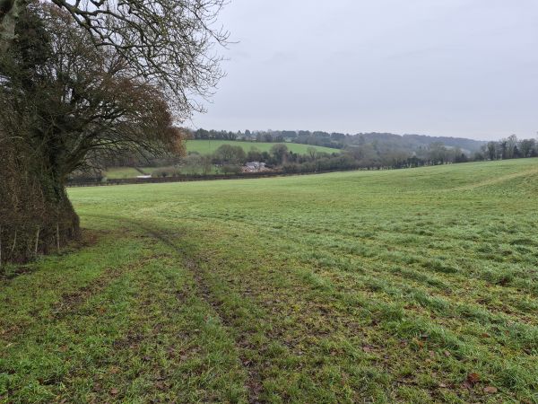 Far reaching view on Chesham walk
