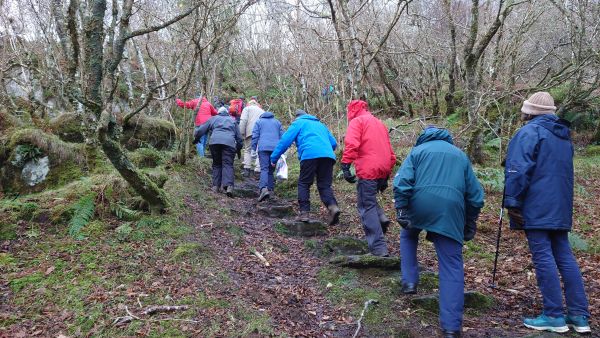 Ramblers ascending steep stone steps in Crinan Wood