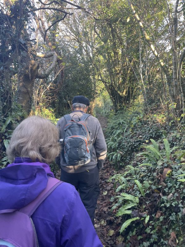 Walkers in the woods
