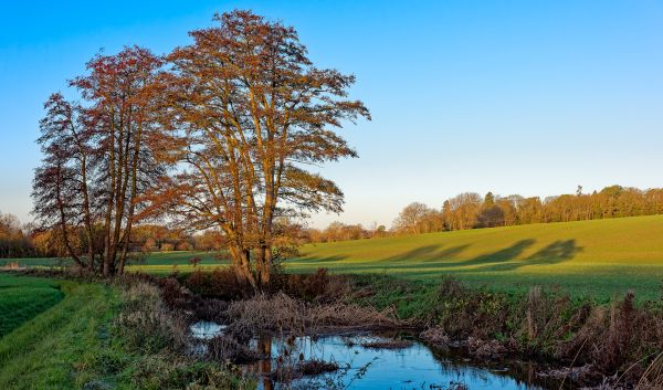 A view along the River Rib