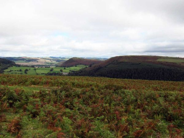 Views of hills in the distance.