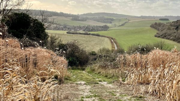 looking back to Levin Down