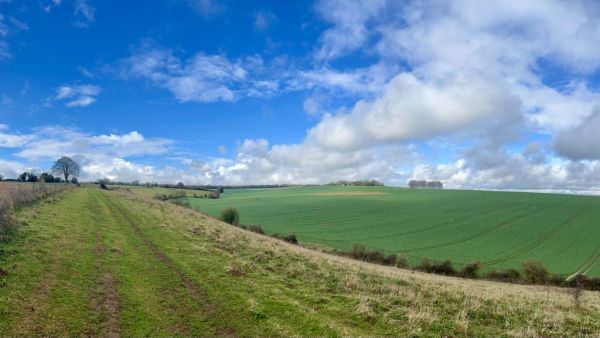 Heading west towards West Dean Hill
