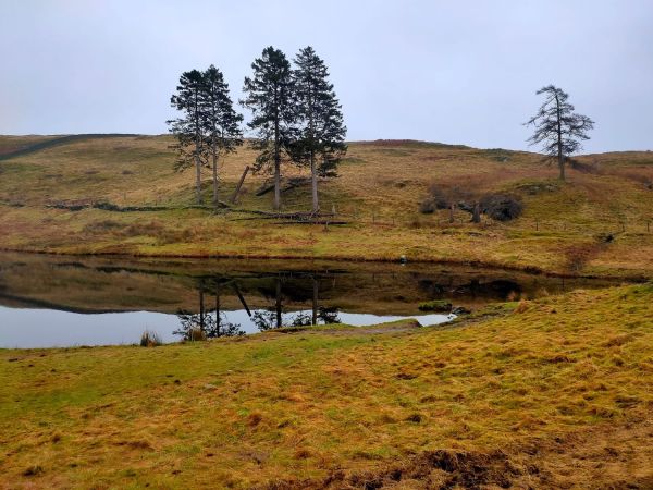 School Knott Tarn