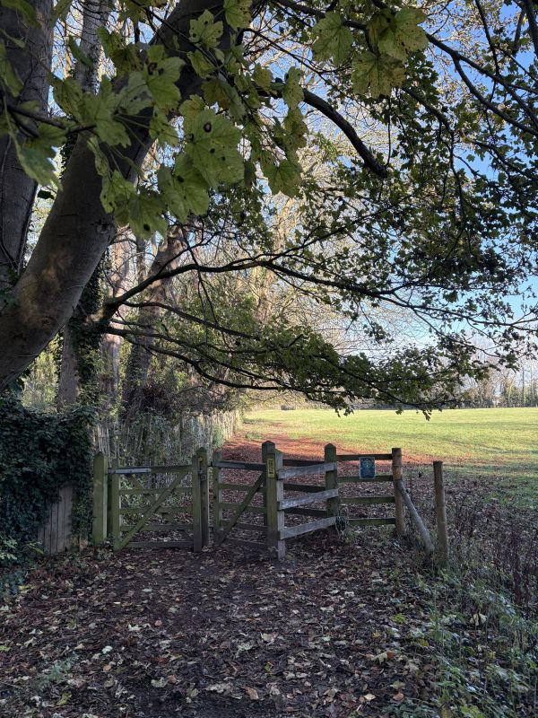 Field leading to Topcliffe Mill