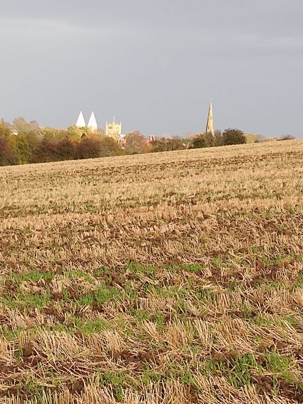 A distant view of Southwell MInster