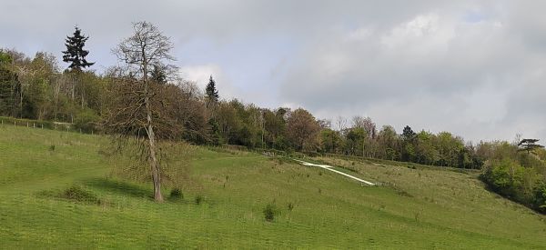 Walk upto Shoreham Cross