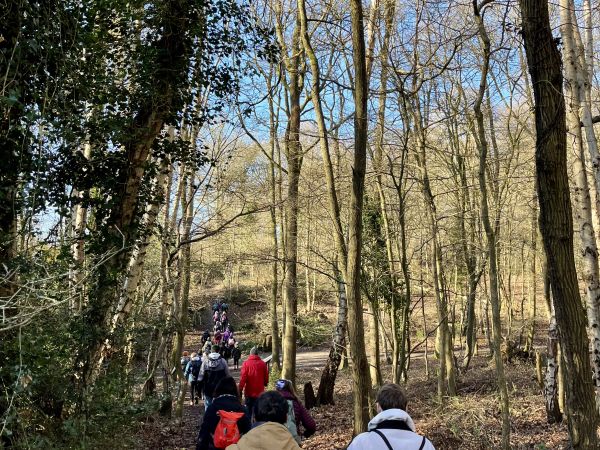 Walkers in Mardley Heath woods