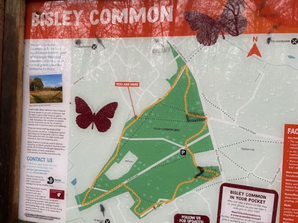 Bisley Common map