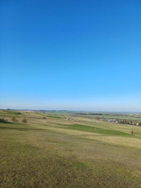 Views over heathland