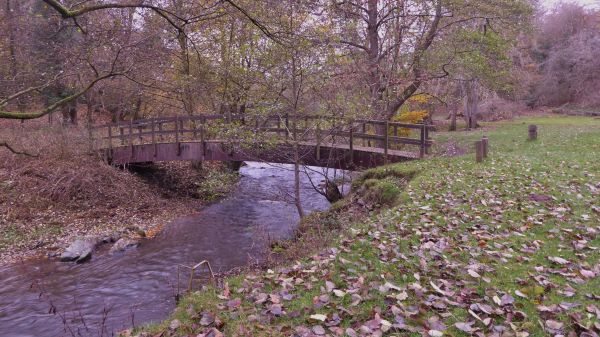 Riverside meadow bridge