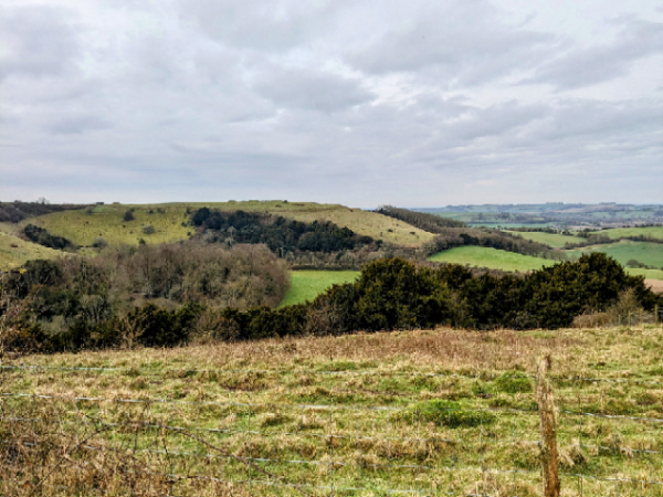 View from Beacon Hill