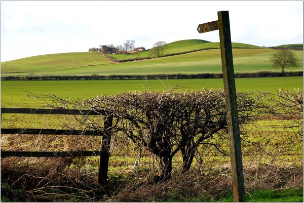 Tetford footpath sign