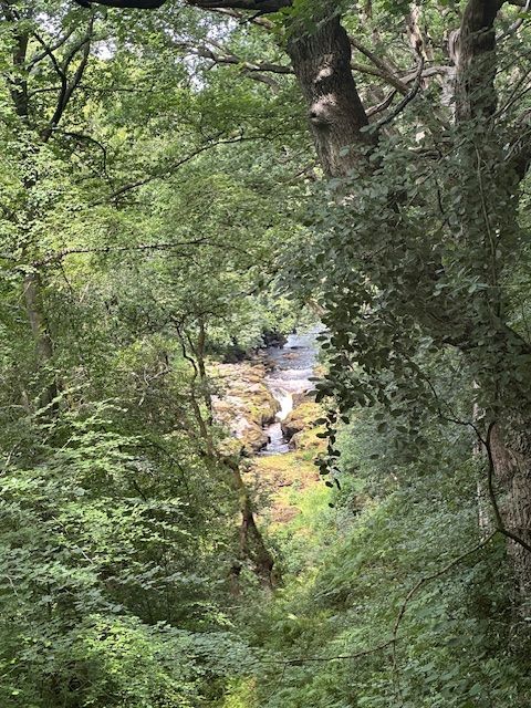 Distant view of The Strid