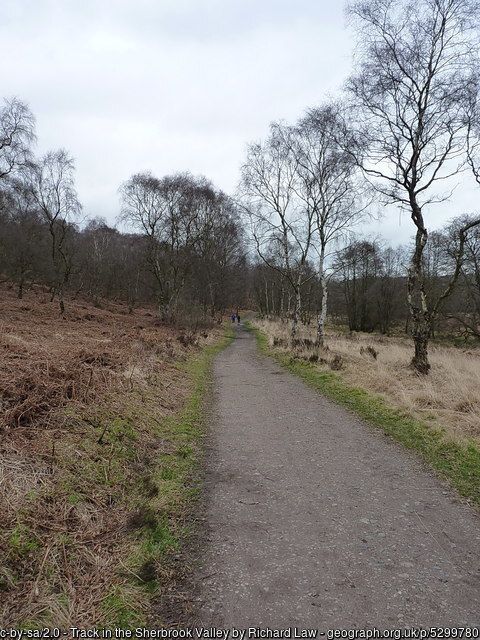 Track in the Sherbrook Valley, copyright Richard Law, used under Creative Commons Licence v2.0