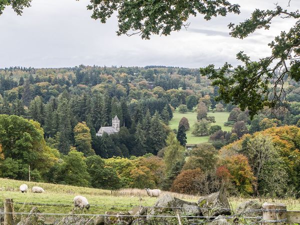 Looking down on Caputh from Stralochy