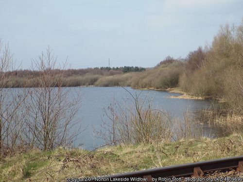 Norton Lakeside Wildfowl Reserve, copyright Robin Stott, used under Creative Commons license v2.0.
