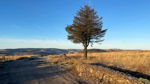 Llanwonno and St Gwynno
