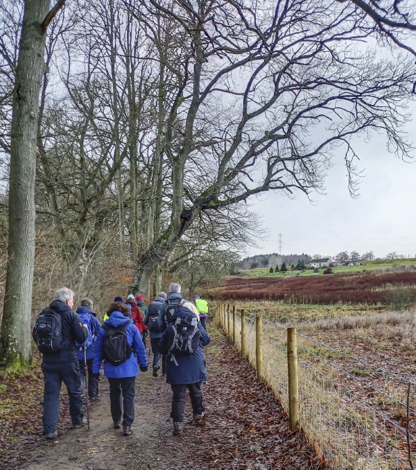 Walkers on the riverside path between Luncarty & Perth