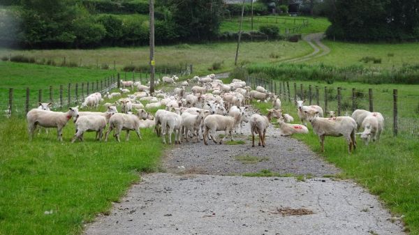 A Ramble between Hirwaun and Penderyn