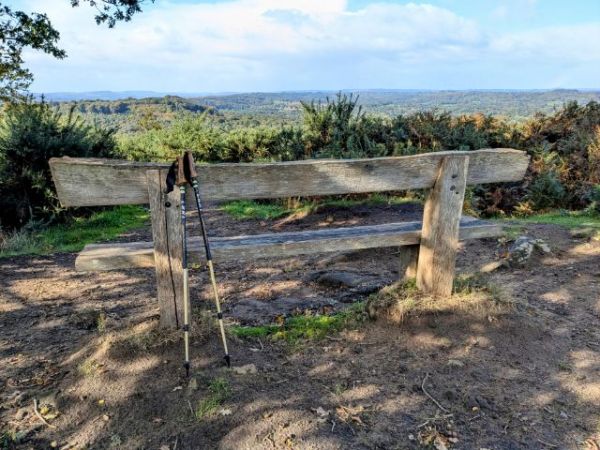 Bench at Woolbedding Common view point